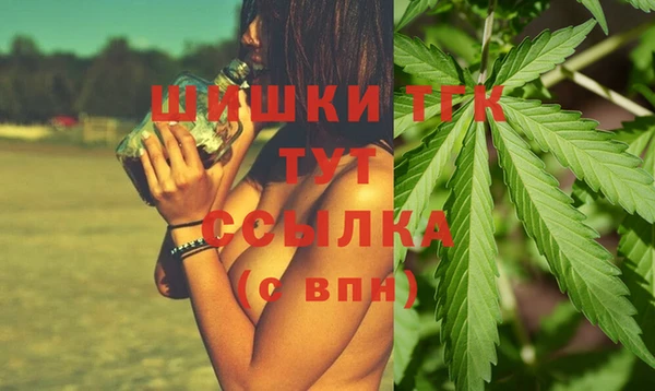 spice Абаза