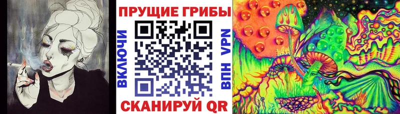 Галлюциногенные грибы Psilocybine cubensis  Александровск 